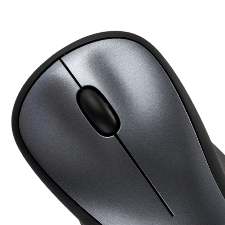 mouse
